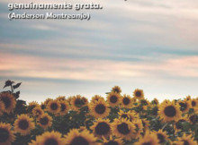 GL card insta 27 220x162 - Aponte pra Gratidão como o Girassol aponta pro sol buscando crescimento